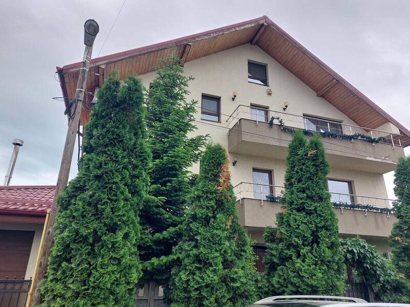 Cornetu  Vila Premium in Cornetu de exceptie, structura record